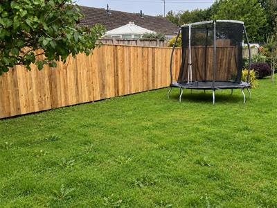 Picture 14
